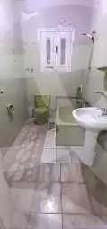 https://aqarmap.com.eg/en/listing/7287728-for-sale-cairo-faisal