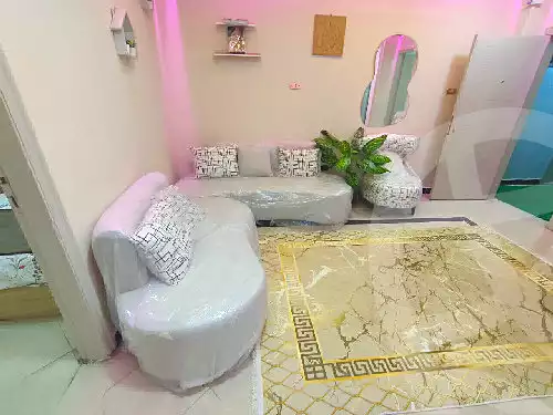 https://aqarmap.com.eg/ar/listing/7287874-for-rent-cairo-manial-manial-st