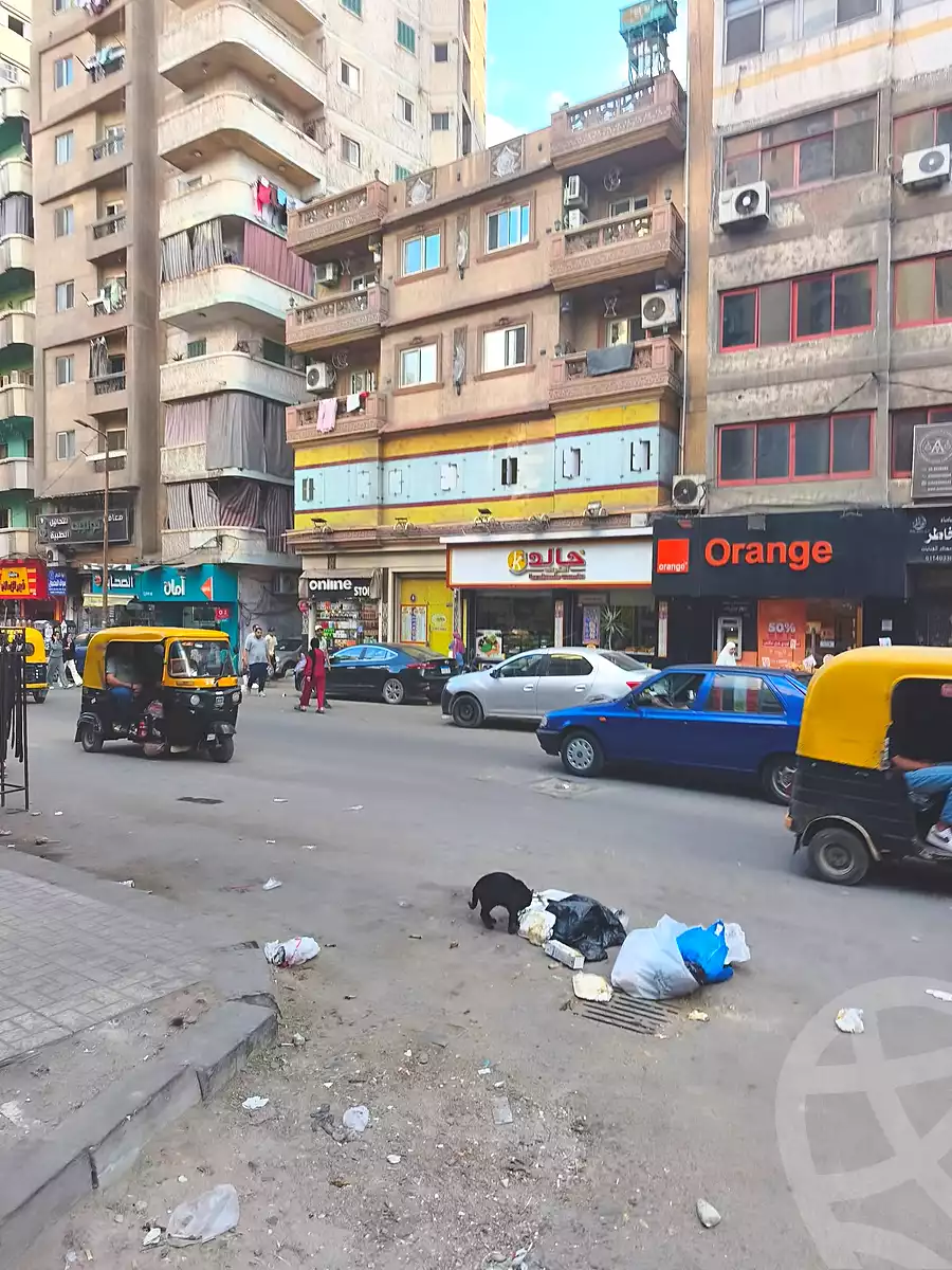https://aqarmap.com.eg/en/listing/7288555-for-sale-alexandria-el-mandara-nabawy-al-mohandes-st