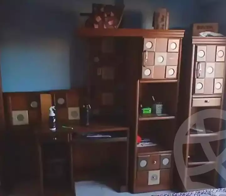 https://aqarmap.com.eg/en/listing/7291923-for-sale-alexandria-moharram-bey-kanal-al-mahmoudeya-al-bahri-st