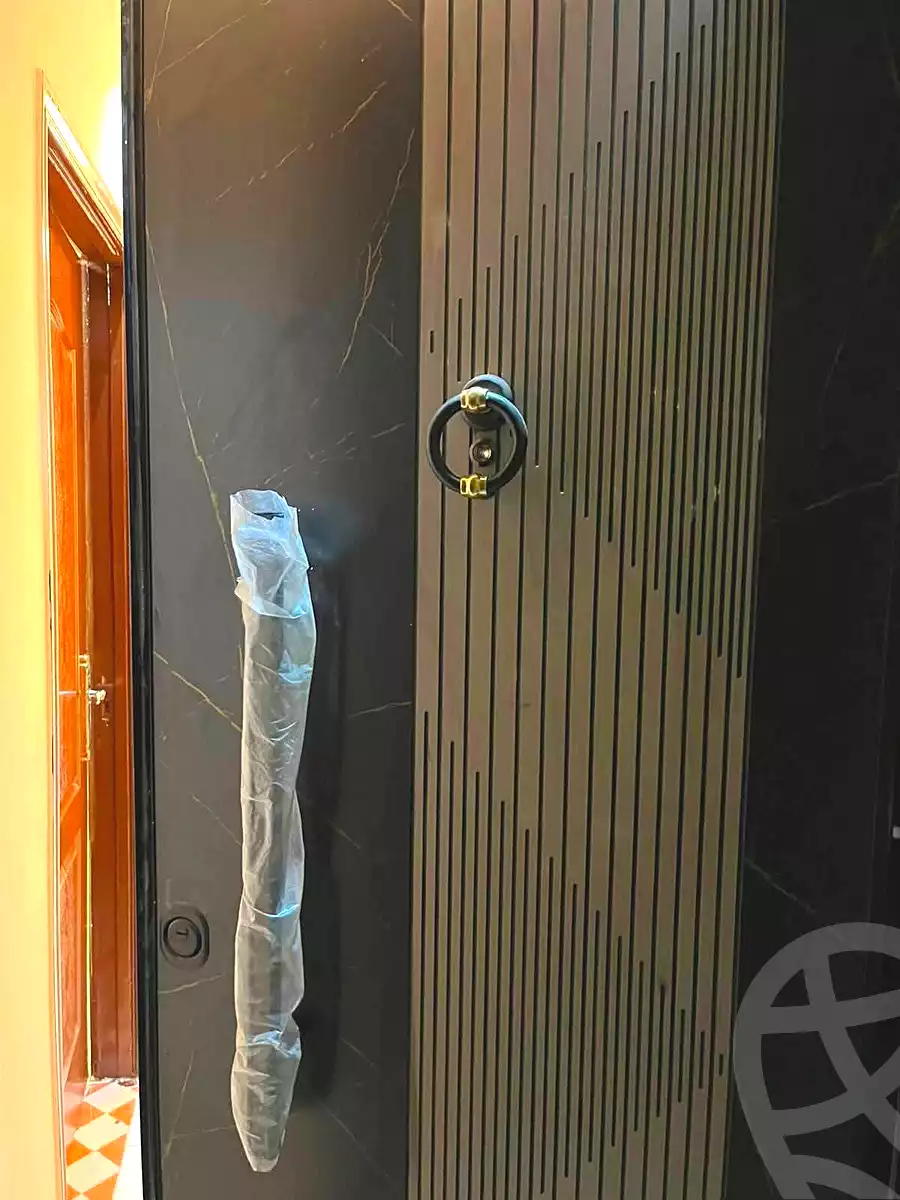 https://aqarmap.com.eg/en/listing/7293559-for-sale-cairo-ain-shams-mnshy-lthryr