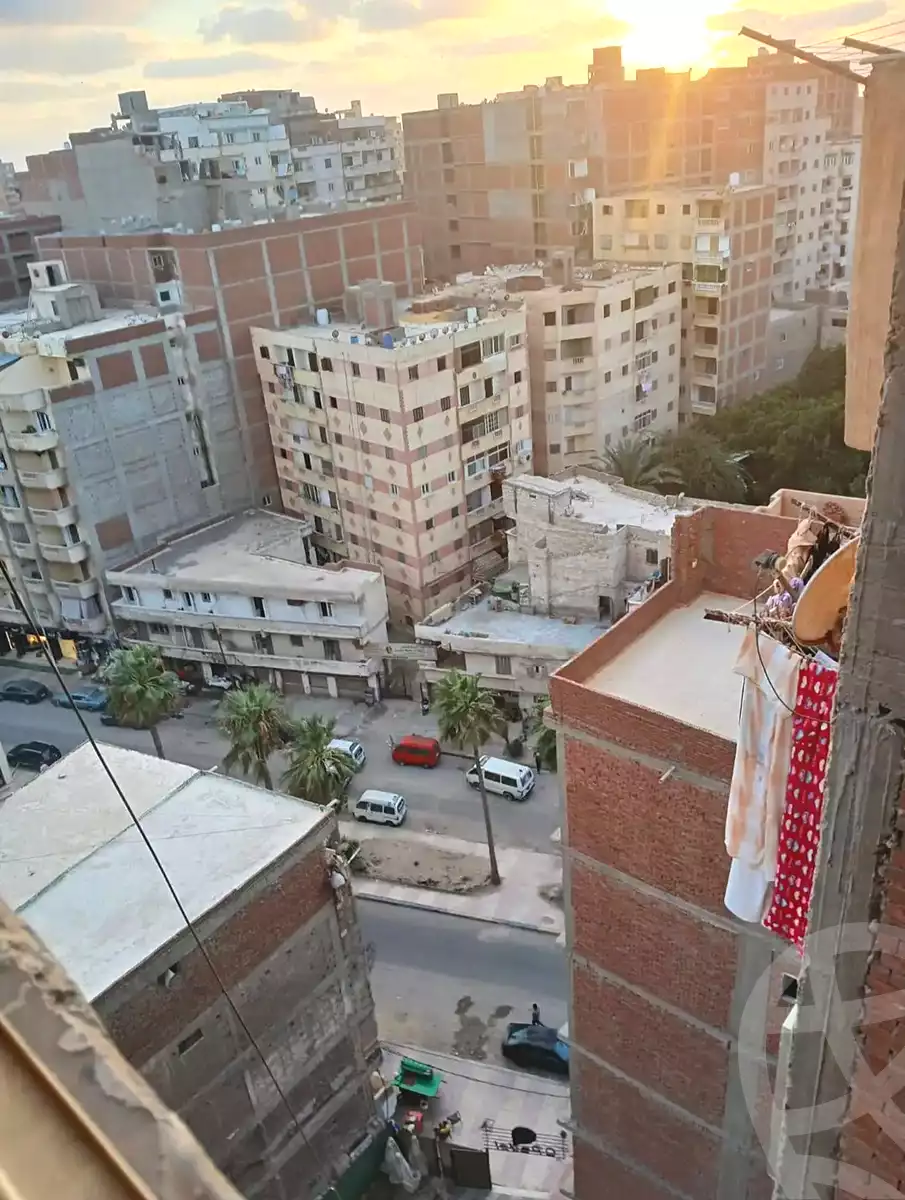 https://aqarmap.com.eg/ar/listing/7293998-for-sale-alexandria-al-agamy-lbytsh-shahr-al-assal-st