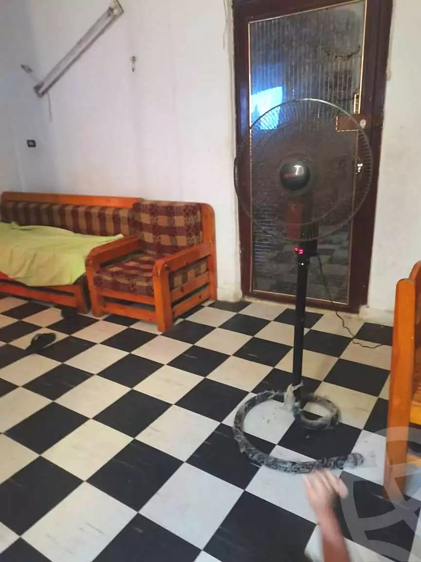 https://aqarmap.com.eg/ar/listing/7174615-for-sale-alexandria-al-agamy-lbytsh-shahr-al-assal-st