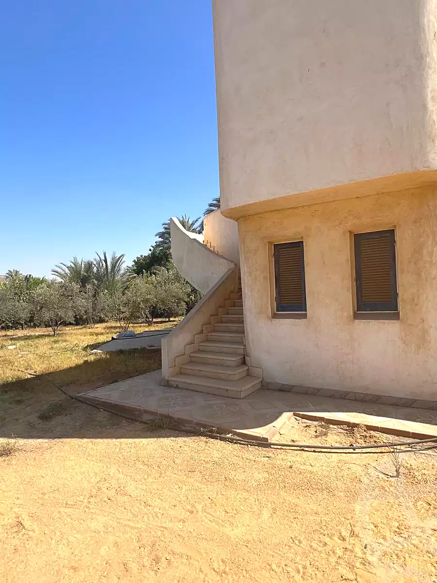 3 BR Villa in Sandorini, photo 9 of 16