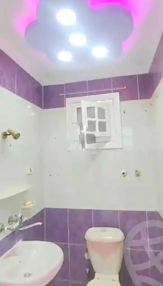 https://aqarmap.com.eg/ar/listing/7301865-for-sale-alexandria-lsywf-el-falki-street-16-el-eslah