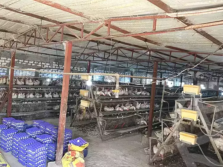 https://aqarmap.com.eg/ar/listing/7306331-for-rent-ismailia-ismailia-city-al-ismaileya-road-port-saeed-st
