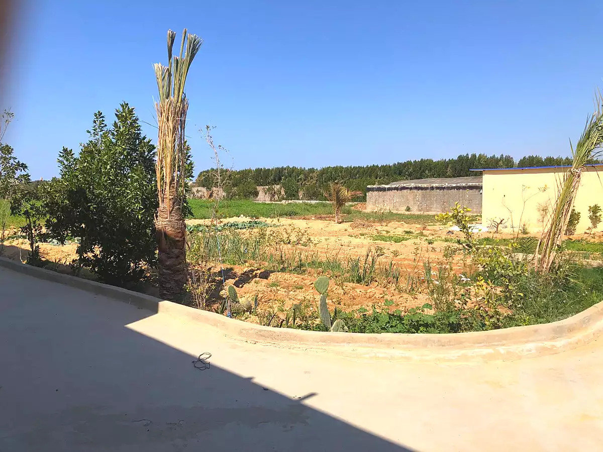 https://aqarmap.com.eg/en/listing/7306882-for-sale-alexandria-borg-el-arab-el-bahira-st