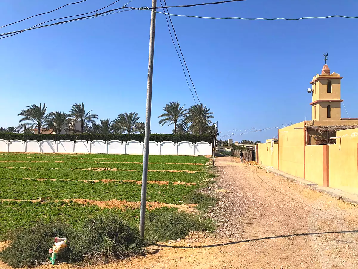 https://aqarmap.com.eg/en/listing/7306882-for-sale-alexandria-borg-el-arab-el-bahira-st