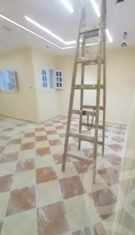 https://aqarmap.com.eg/en/listing/7308149-for-sale-alexandria-al-agamy-lbytsh-ain-shams-st
