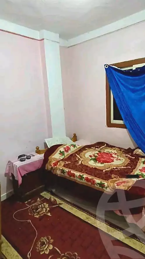 https://aqarmap.com.eg/en/listing/7308590-for-sale-alexandria-el-dekhela