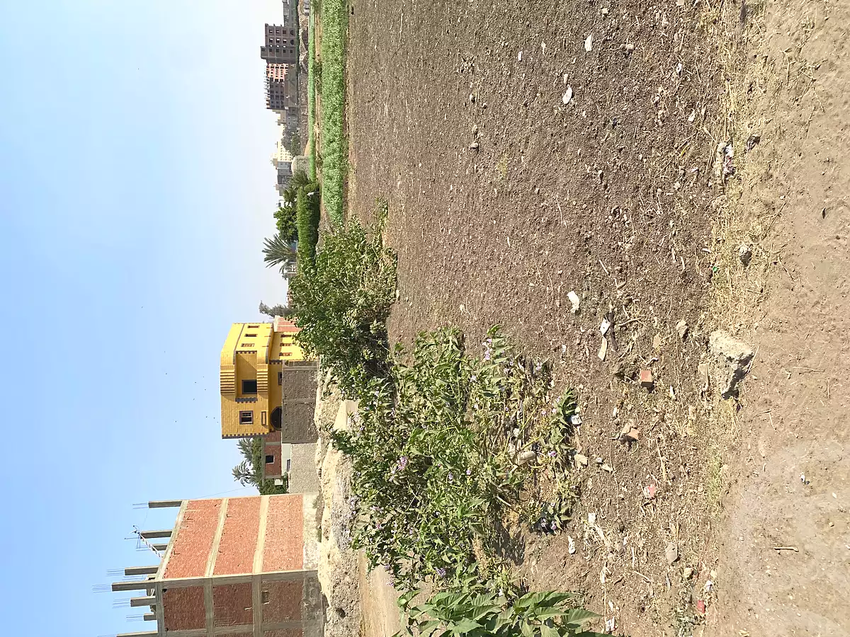 https://aqarmap.com.eg/ar/listing/7309167-for-sale-cairo-ljyz-bw-lnmrs-zazlet-el-ashtar