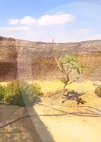 https://aqarmap.com.eg/ar/listing/7309605-for-sale-el-fayoum-asyut-rd