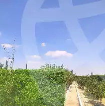 https://aqarmap.com.eg/ar/listing/7309605-for-sale-el-fayoum-asyut-rd
