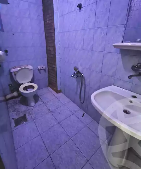 https://aqarmap.com.eg/en/listing/7309949-for-sale-alexandria-lsywf-el-falki