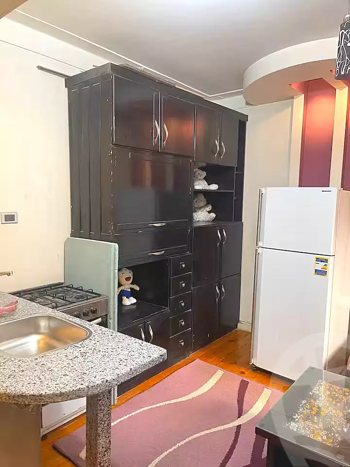 https://aqarmap.com.eg/en/listing/7290557-for-rent-alexandria-ganaklis-shr-bw-qyr-tryq-lhry