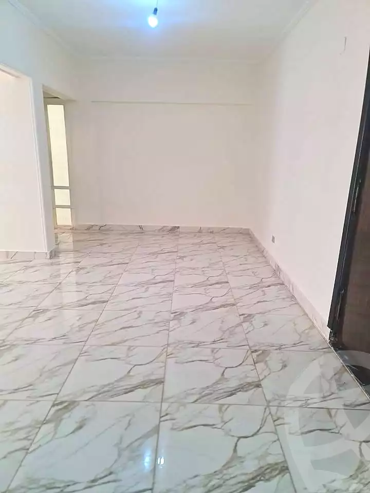 https://aqarmap.com.eg/en/listing/7312596-for-sale-alexandria-roshdy
