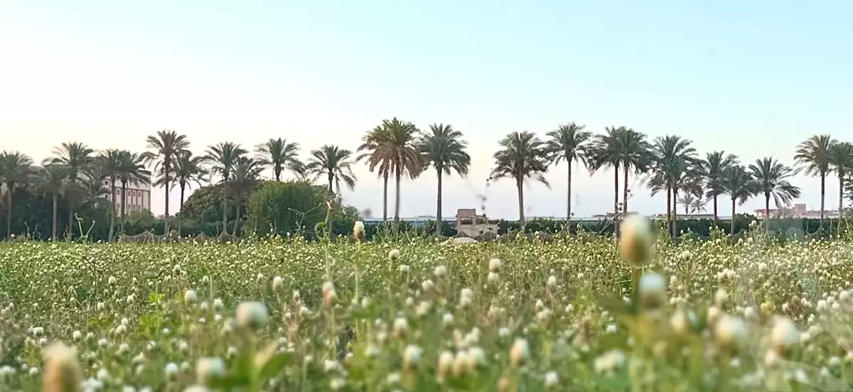 https://aqarmap.com.eg/ar/listing/7312993-for-sale-cairo-ljyz-bw-lnmrs-shabramant