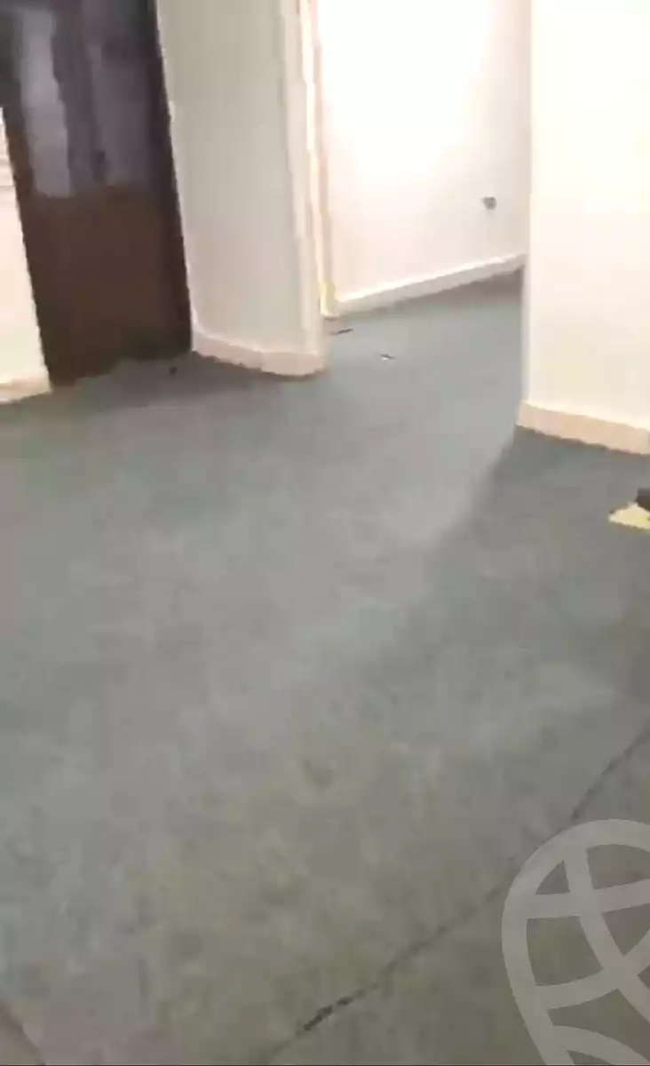 https://aqarmap.com.eg/en/listing/7314853-for-rent-cairo-dokki