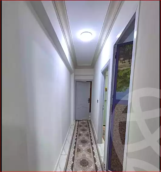 https://aqarmap.com.eg/en/listing/7317010-for-sale-alexandria-lsywf-el-falki-street-16-el-eslah
