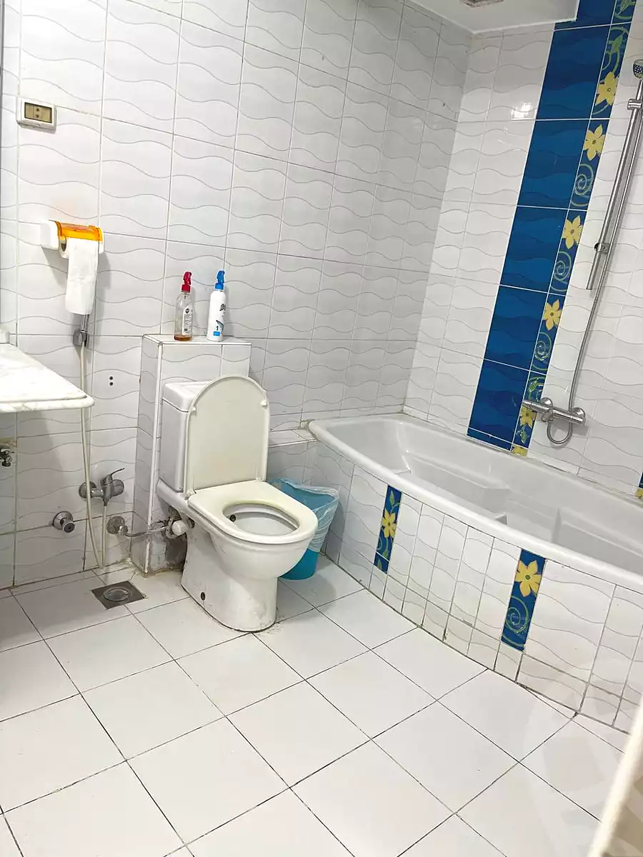 https://aqarmap.com.eg/en/listing/7317473-for-rent-cairo-heliopolis-sheraton-khaled-ibn-al-walid-st