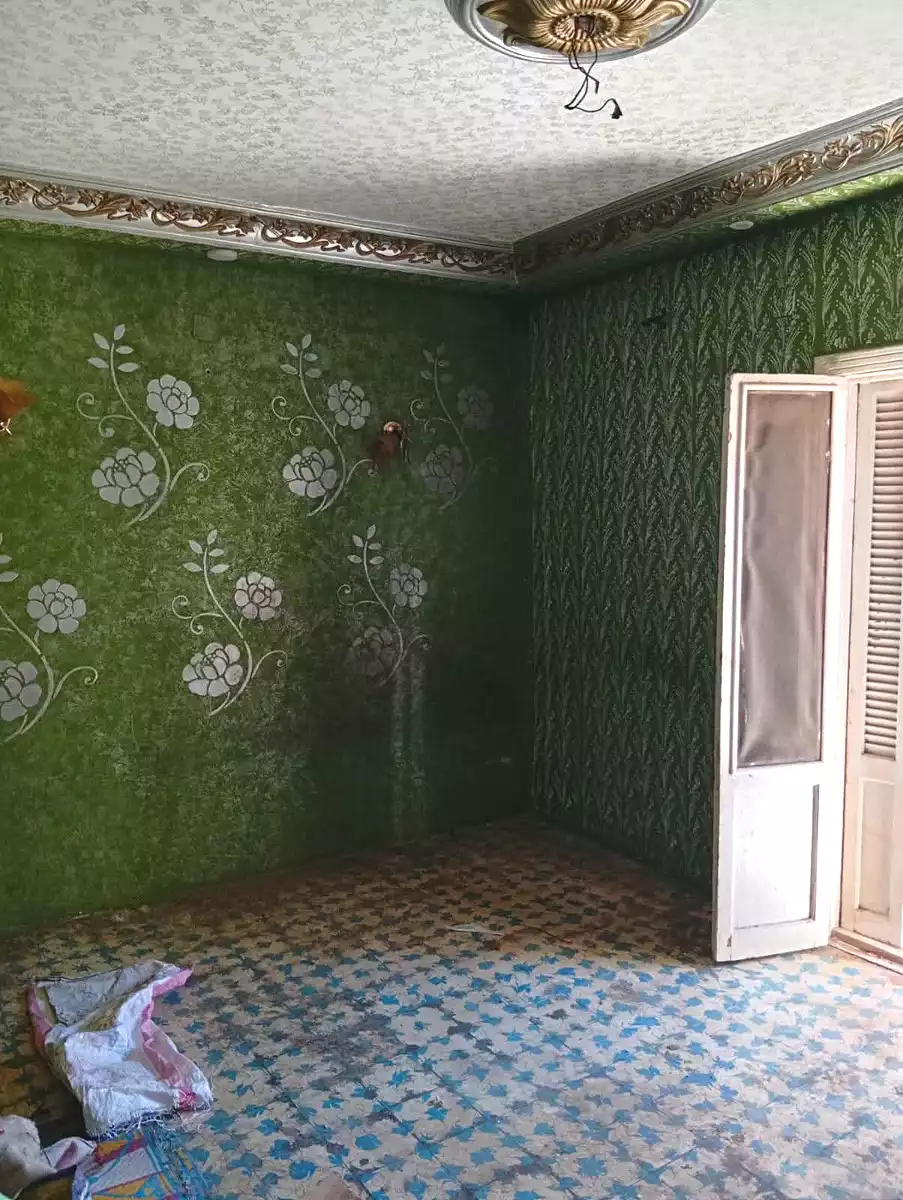 https://aqarmap.com.eg/en/listing/7317678-for-sale-alexandria-el-dekhela
