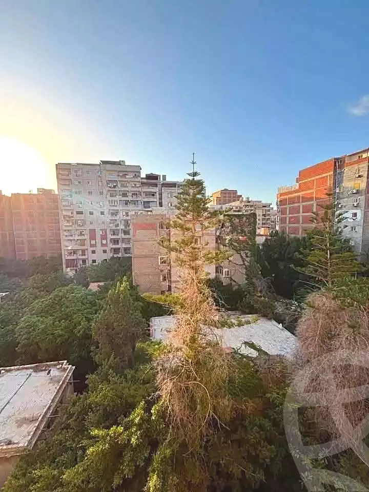https://aqarmap.com.eg/en/listing/7318144-for-sale-alexandria-al-agamy-lbytsh