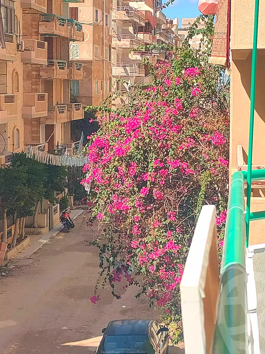 https://aqarmap.com.eg/en/listing/7330005-for-sale-alexandria-al-agamy-shataa-el-nakheel