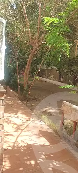 https://aqarmap.com.eg/en/listing/7331807-for-sale-alexandria-al-agamy-lbytsh-bianchiii