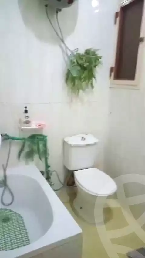 https://aqarmap.com.eg/ar/listing/7335754-for-sale-alexandria-al-agamy-lbytsh-belia-st