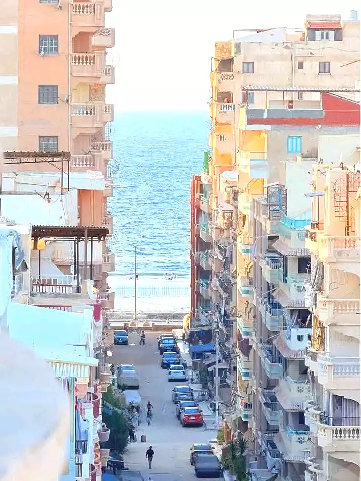 https://aqarmap.com.eg/en/listing/7338395-for-sale-alexandria-al-agamy-shataa-el-nakheel