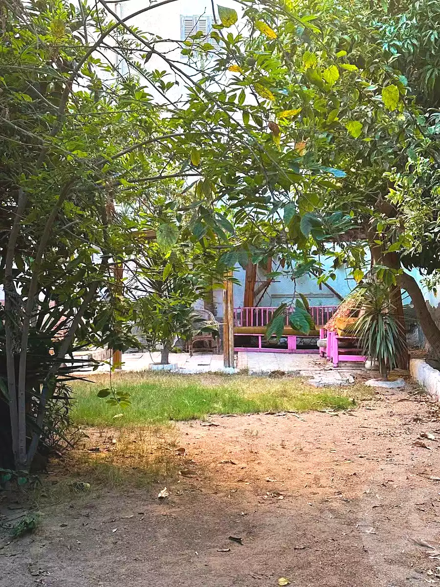 https://aqarmap.com.eg/en/listing/7338705-for-sale-alexandria-al-agamy-lbytsh-bianchiii-street-11