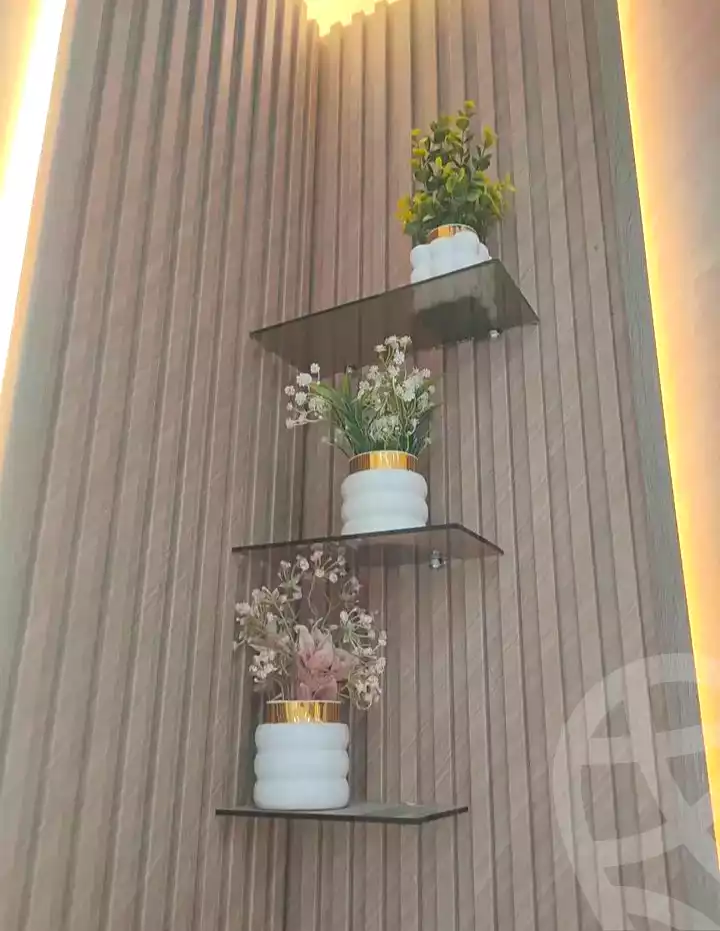 https://aqarmap.com.eg/ar/listing/7342080-for-sale-alexandria-al-agamy-shataa-el-nakheel