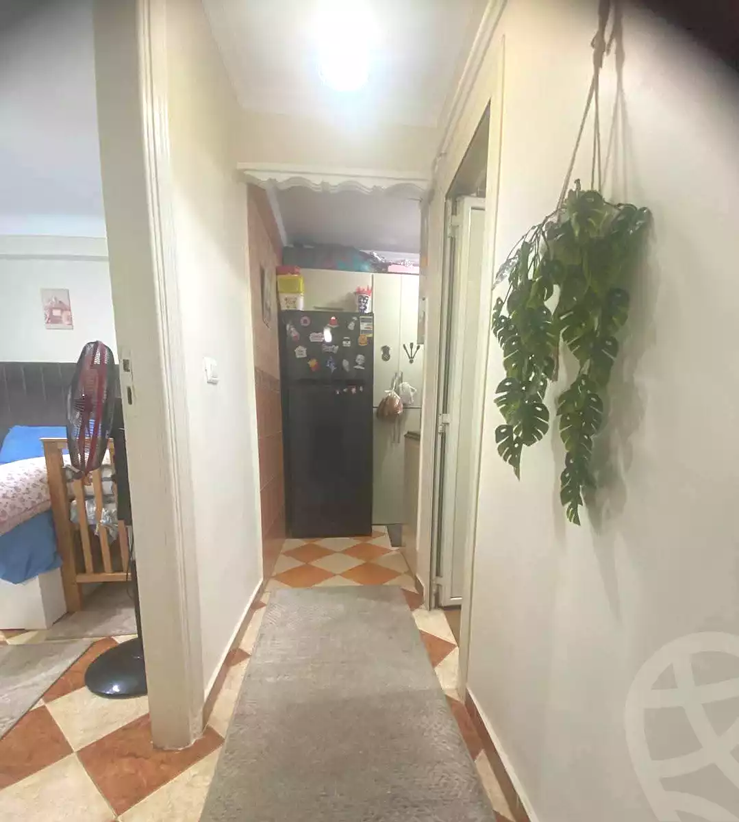 https://aqarmap.com.eg/en/listing/7342641-for-sale-alexandria-lsywf-el-falki