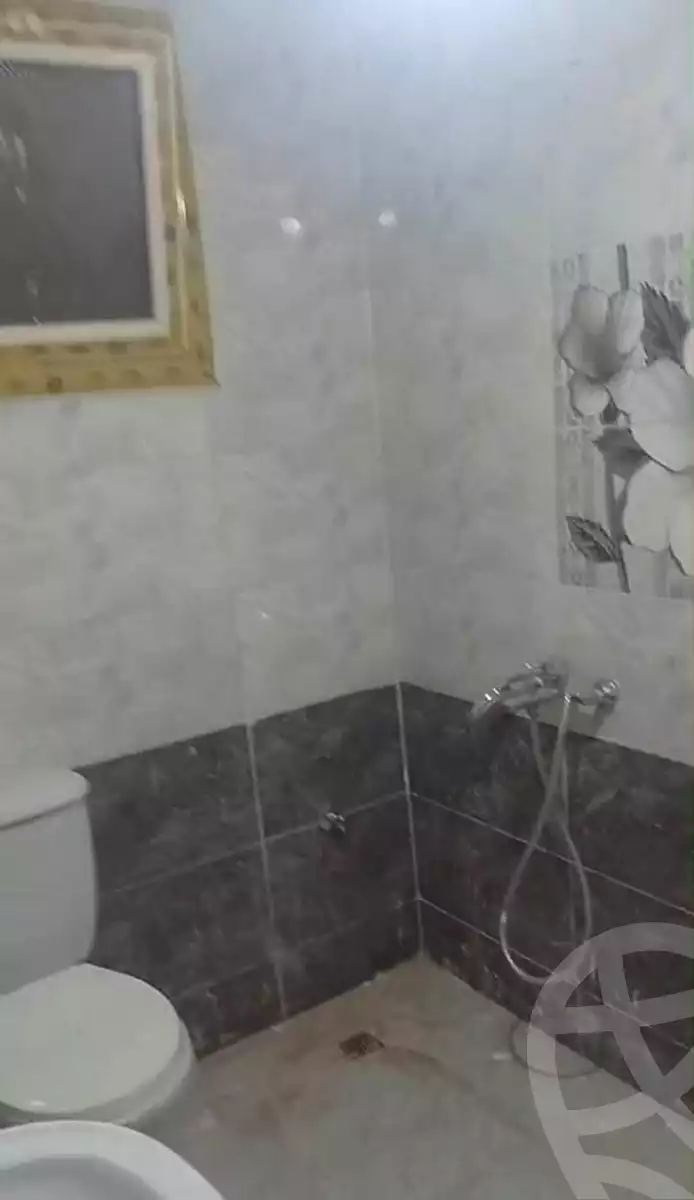 https://aqarmap.com.eg/en/listing/7346329-for-rent-cairo-ain-shams-jsr-lswys-gamal-abd-el-naser-st