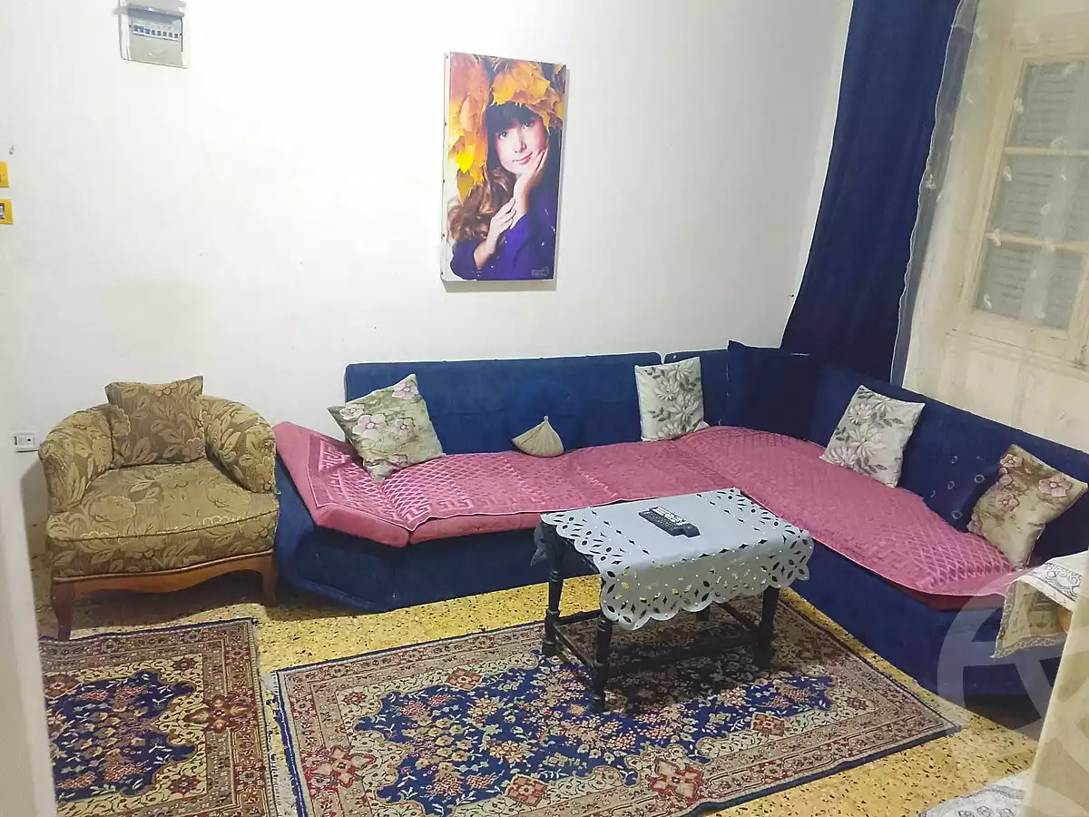 https://aqarmap.com.eg/ar/listing/7353237-for-rent-alexandria-miami-street-56