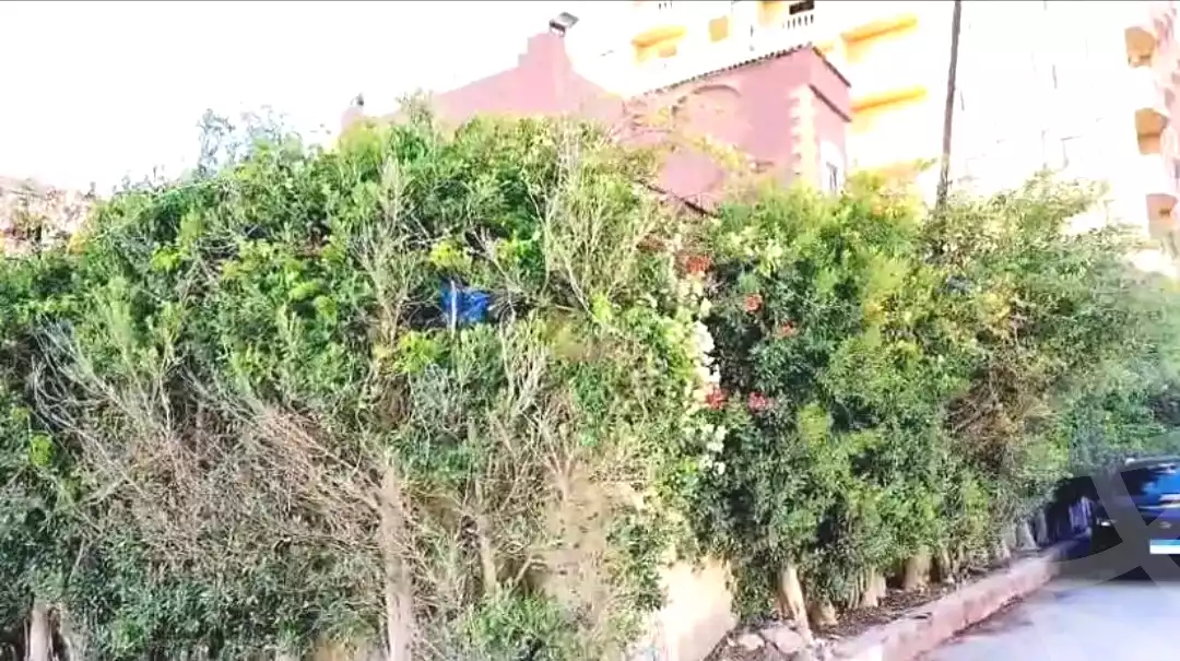 https://aqarmap.com.eg/ar/listing/7353802-for-sale-alexandria-abu-talat