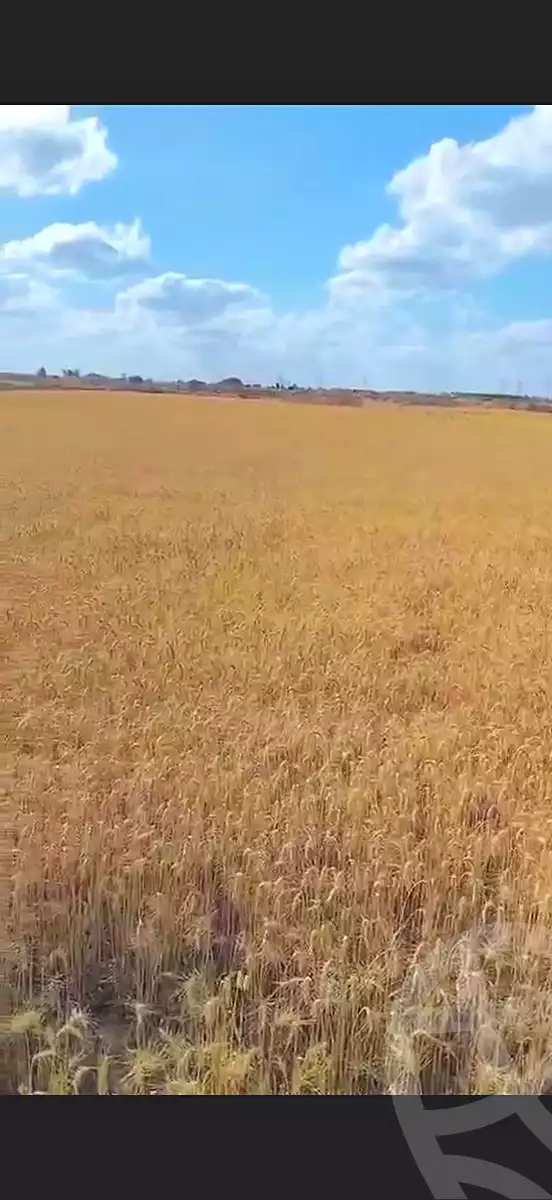 https://aqarmap.com.eg/en/listing/7354196-for-sale-beheira-new-nubariya-el-yasha-village