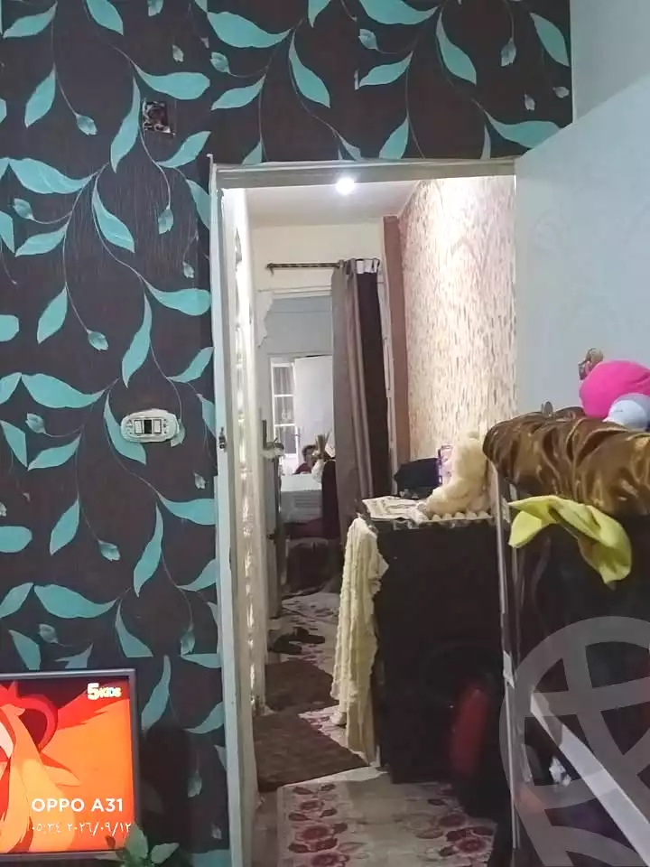 https://aqarmap.com.eg/ar/listing/7355083-for-sale-alexandria-al-agamy-el-hanouvel