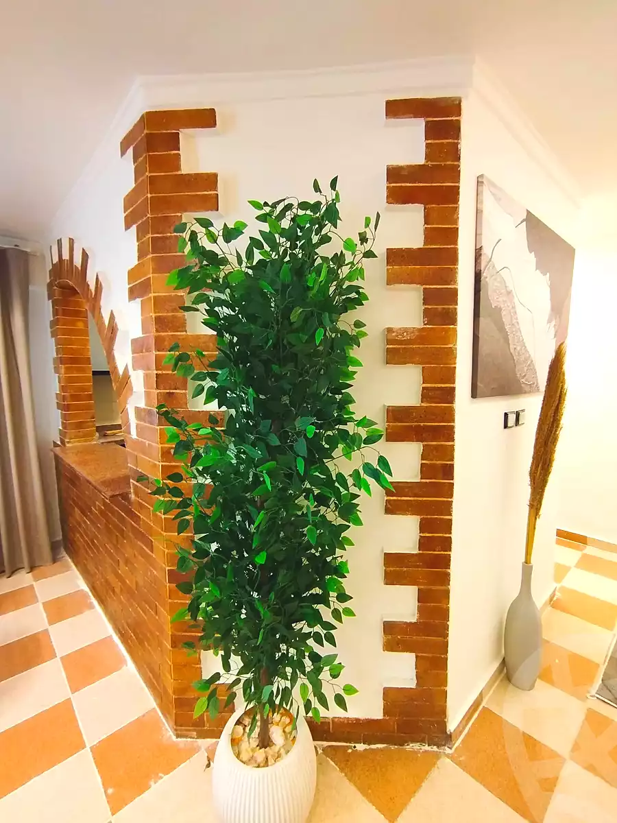 https://aqarmap.com.eg/ar/listing/7355425-for-sale-alexandria-al-agamy-shataa-el-nakheel
