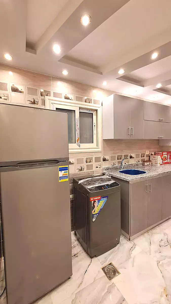 https://aqarmap.com.eg/en/listing/7356599-for-rent-cairo-nasr-city-abbas-el-akkad
