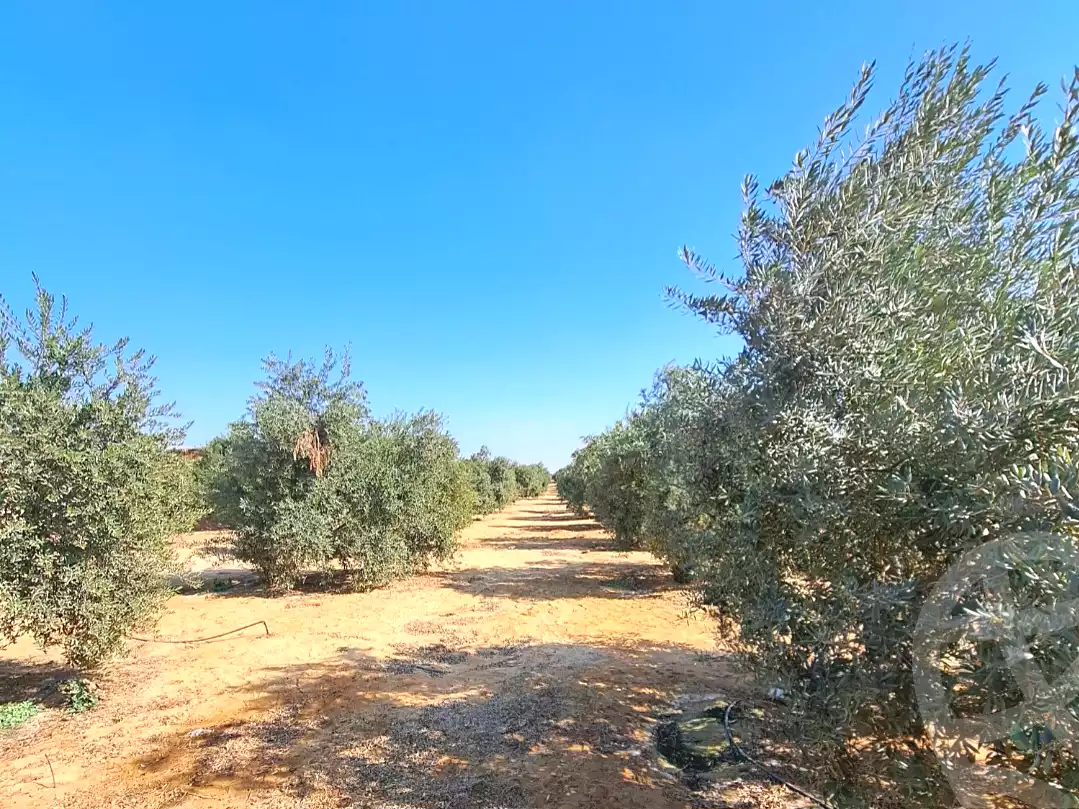 https://aqarmap.com.eg/ar/listing/7356924-for-sale-cairo-el-sheikh-zayed-city-alex-cairo-desert-road-mdyn-sfnks-ljdyd-cascada