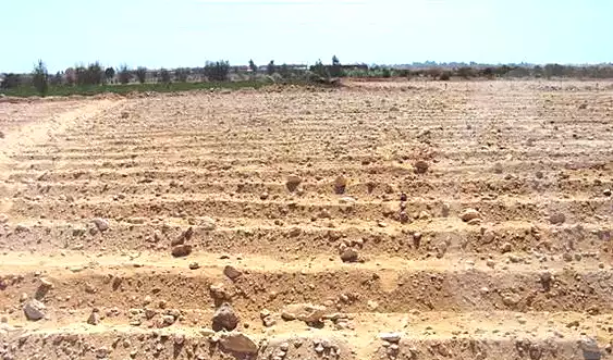https://aqarmap.com.eg/ar/listing/7357585-for-sale-beheira-abd-el-baset-village