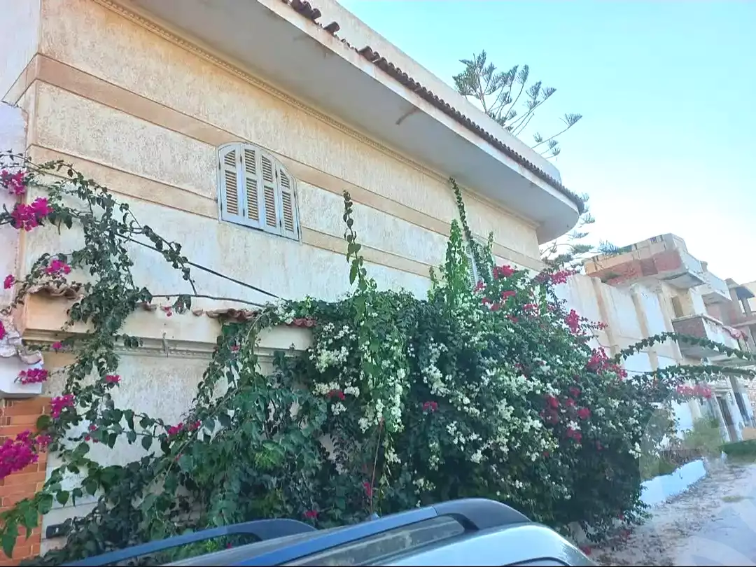 https://aqarmap.com.eg/ar/listing/7359975-for-sale-alexandria-abu-talat