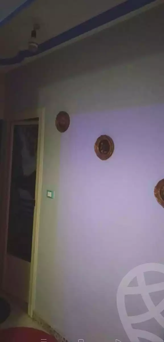 https://aqarmap.com.eg/en/listing/7360619-for-sale-cairo-faisal-el-talbeya