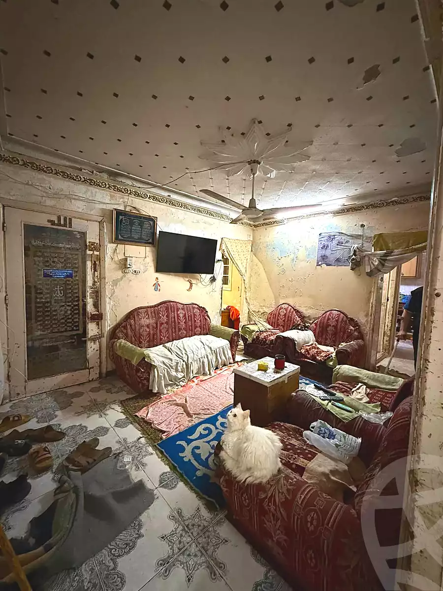 https://aqarmap.com.eg/ar/listing/7361344-for-sale-alexandria-fyktwry-shr-jml-bd-lnsr