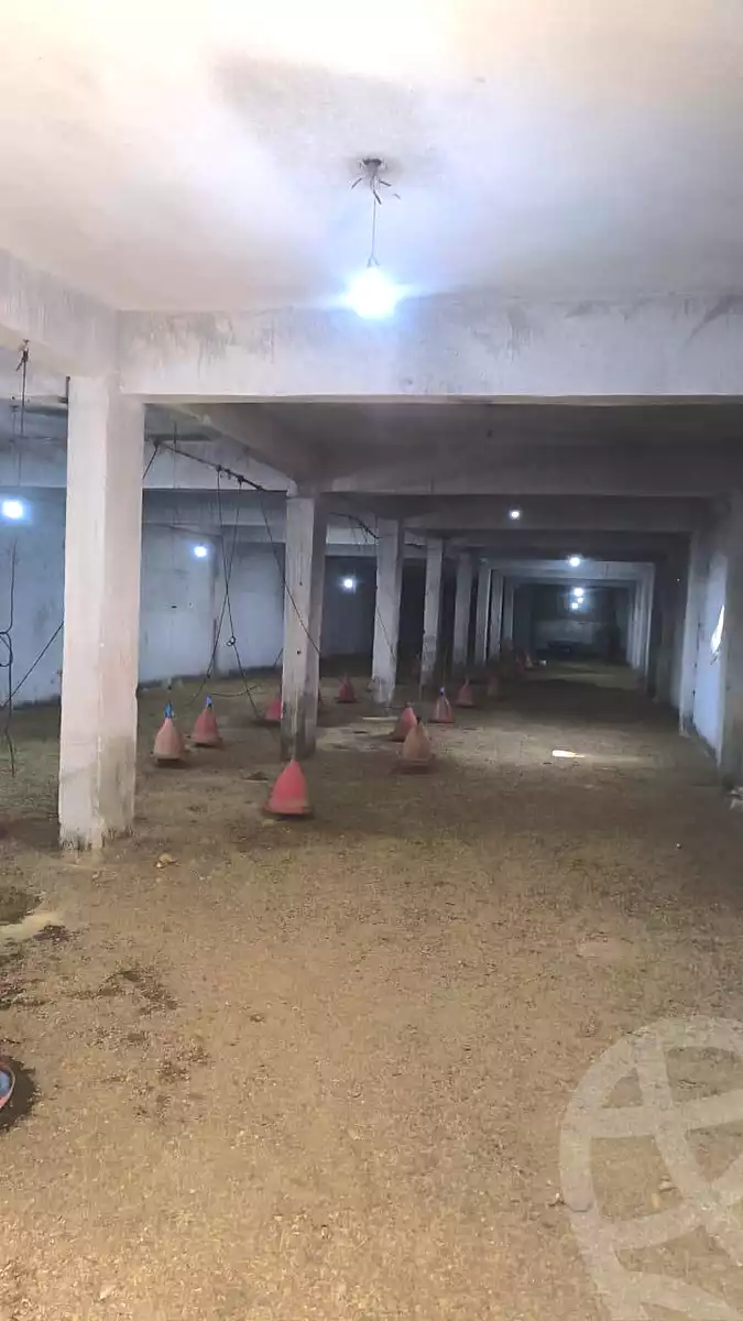 https://aqarmap.com.eg/ar/listing/7362575-for-sale-cairo-nasr-city-abbas-el-akkad-testmeplease