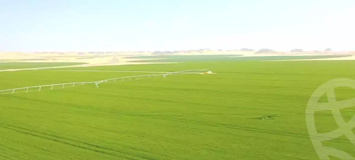 https://aqarmap.com.eg/ar/listing/7363006-for-sale-beheira-wadi-el-natrun-el-gaar