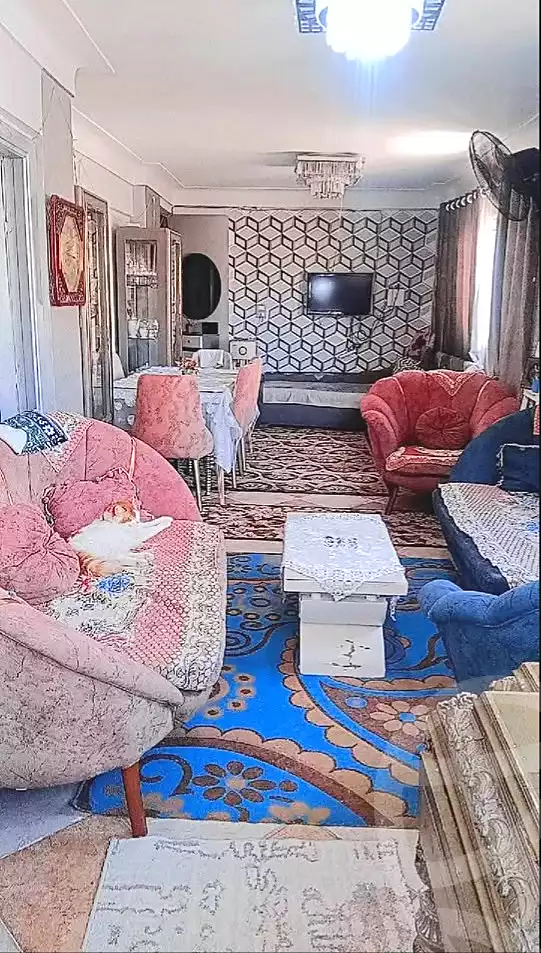 https://aqarmap.com.eg/en/listing/7368413-for-sale-alexandria-fyktwry-al-saaeh-sq-victoria