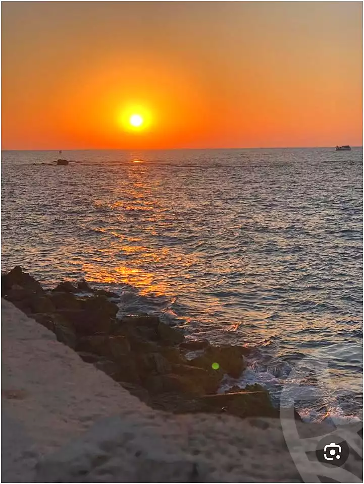 https://aqarmap.com.eg/en/listing/7369456-for-rent-alexandria-al-agamy-shataa-el-nakheel