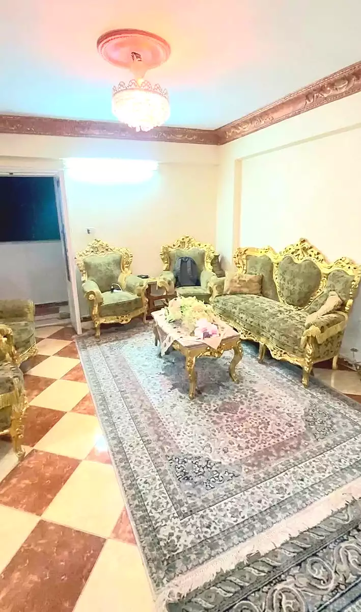https://aqarmap.com.eg/ar/listing/7370981-for-sale-alexandria-ganaklis